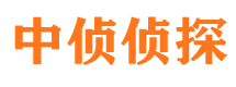 台江市婚外情调查